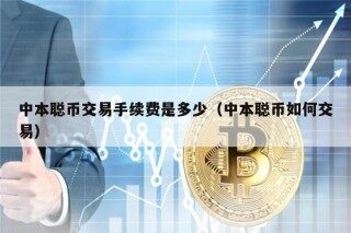 中本聪币交易手续费是多少（中本聪币如何交易）